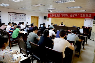財鑫集團組織全體黨員開展“講規(guī)矩、有紀律”專題黨課教育