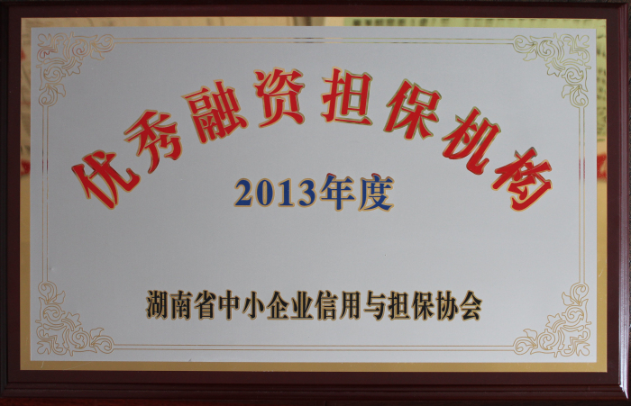2013年度優(yōu)秀融資擔保機構(gòu).JPG