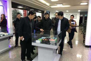 集團公司全體領導對大額在保項目進行走訪調研