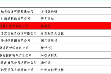財科擔(dān)?！靶叛a貸”產(chǎn)品獲2022年湖南省融資創(chuàng)新考評獎勵
