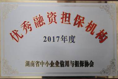 2017年度優(yōu)秀融資擔(dān)保機構(gòu)