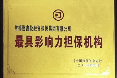 2016年常德財鑫投融資擔(dān)保集團(tuán)有限公司最具影響力擔(dān)保機(jī)構(gòu)