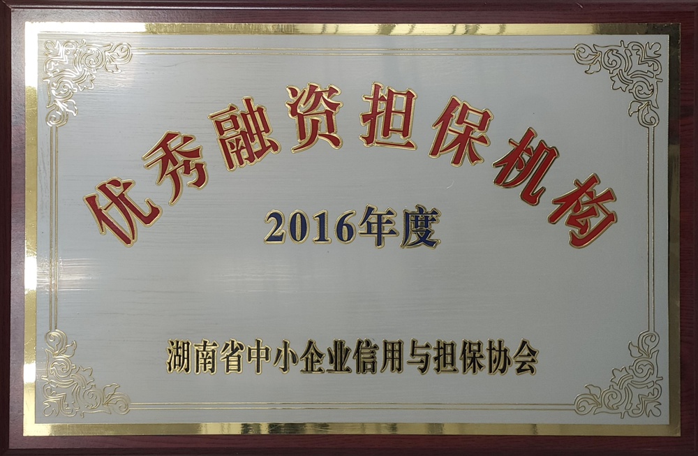 2016年度優(yōu)秀融資擔保機構(gòu)
