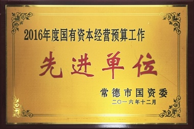 2016年度國有資本經(jīng)營預(yù)算工作先進(jìn)單位