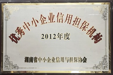 2012年度優(yōu)秀中小企業(yè)信用擔(dān)保機(jī)構(gòu)