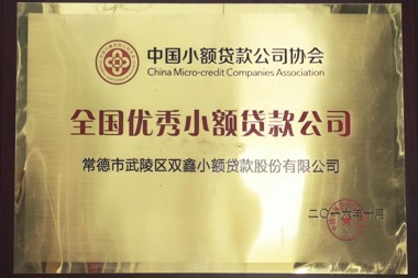 2016年全國優(yōu)秀小額貸款公司—常德市武陵區(qū)雙鑫小額貸款股份有限公司