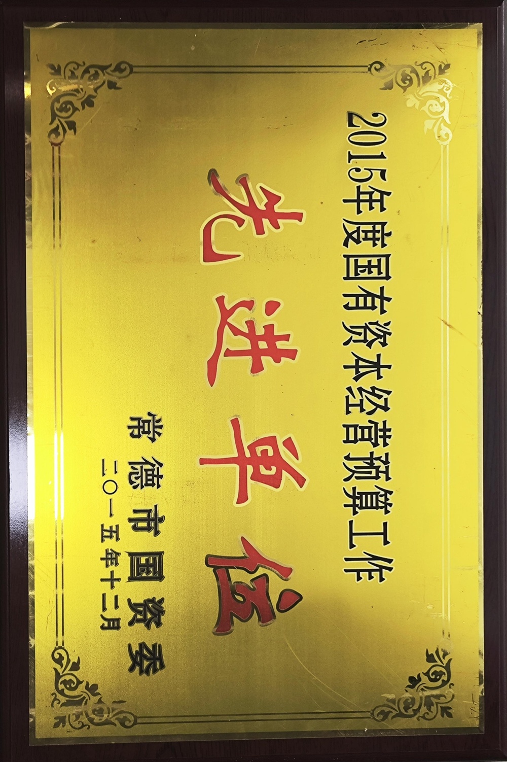 2015年度國有資本經營預算工作先進單位