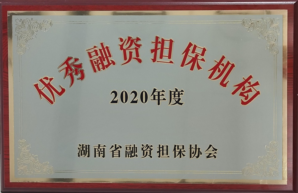 2020年度優(yōu)秀融資擔(dān)保機(jī)構(gòu)