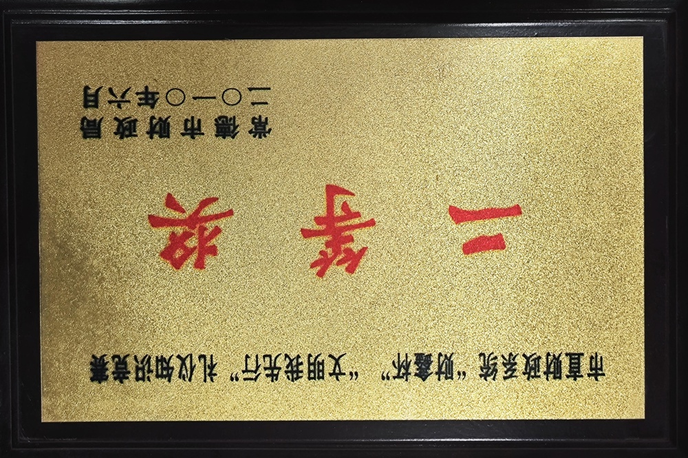 市直財政系統(tǒng)“財鑫杯”“文明我先行”禮儀知識競賽二等獎