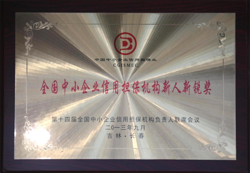 2013年全國中小企業(yè)信用擔(dān)保機構(gòu)新人新銳獎