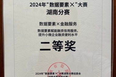 2024年“數(shù)據(jù)要素X”大賽湖南分賽二等獎——常德金融超市